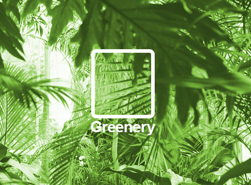 Vert Greenery: Pantone annonce la couleur de 2017