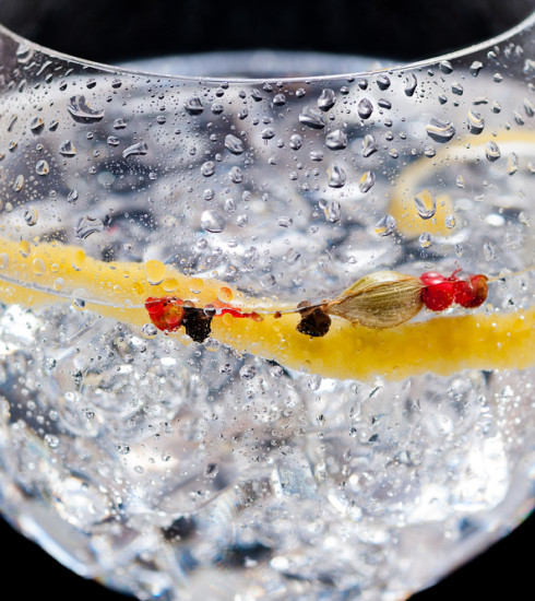 Le Gin Tonic, trendy drink