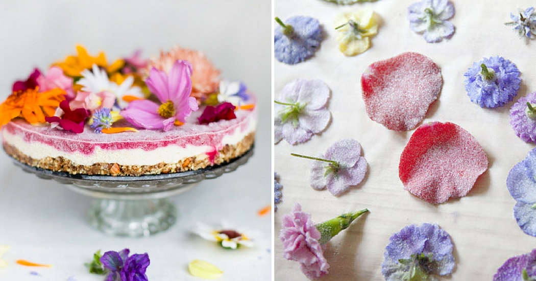 Cuisine créative : recette pour préparer des fleurs cristallisées - Marie  Claire