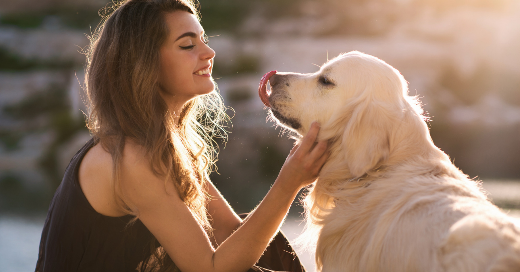 Quel animal de compagnie adopter en fonction de votre