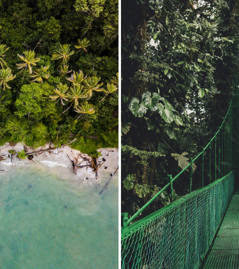 Carnet de voyage : 8 choses à faire et à voir au Costa Rica, le paradis vert