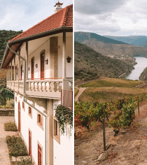 Portugal : 4 bonnes raisons de visiter la vallée du Douro au plus vite