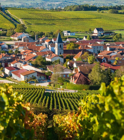Visiter la Champagne Ardenne : 10 activités incontournables à faire