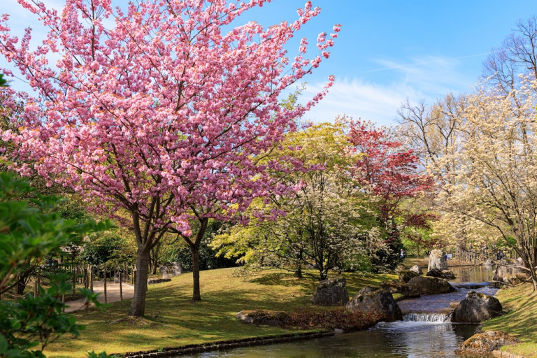 Magnifiques Jardins Visiter En Belgique D S Ce Printemps Marie Claire Belgique