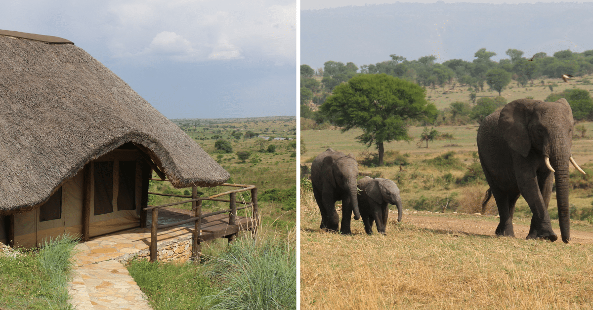 voyage tanzanie belgique