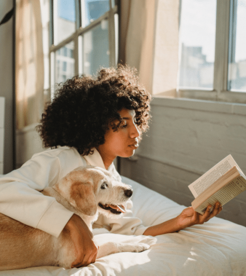 4 romans feel-good pour égayer votre journée