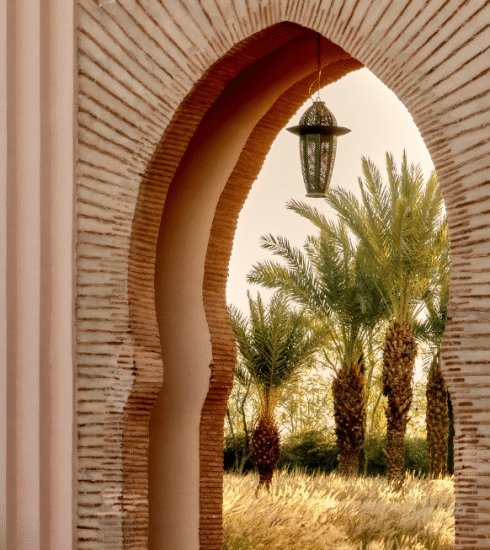 Pourquoi le Club Med Marrakech La Palmeraie est la destination idéale pour des vacances en famille ?