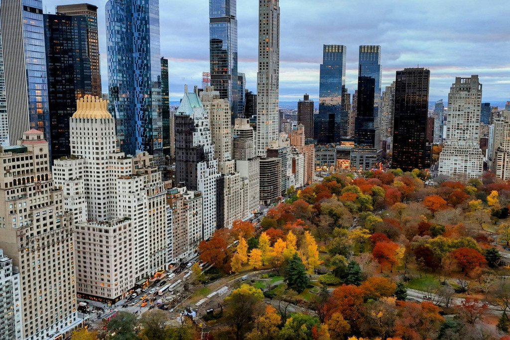 new york automne