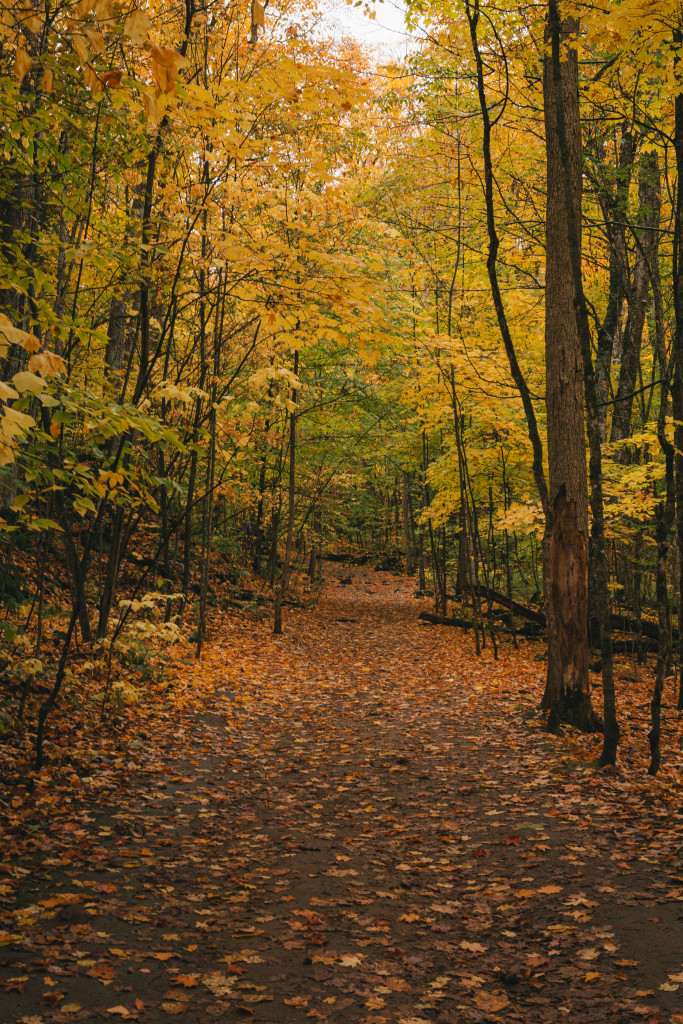 quebec automne