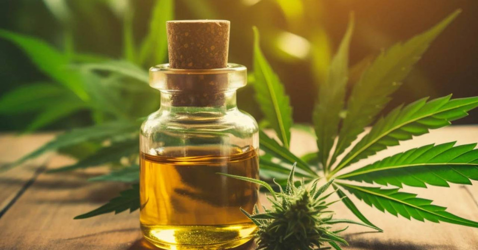 CBD : peut-on en consommer en Belgique sans risque ?