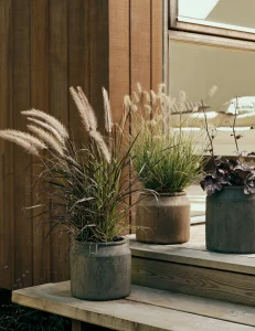 nettoyage plantes