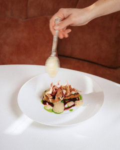 plat villa lorraine