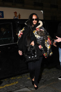 rihanna sac dior cigale