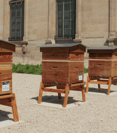Cosmeticamerk Nuxe en het Louvre zetten zich samen in voor bijen