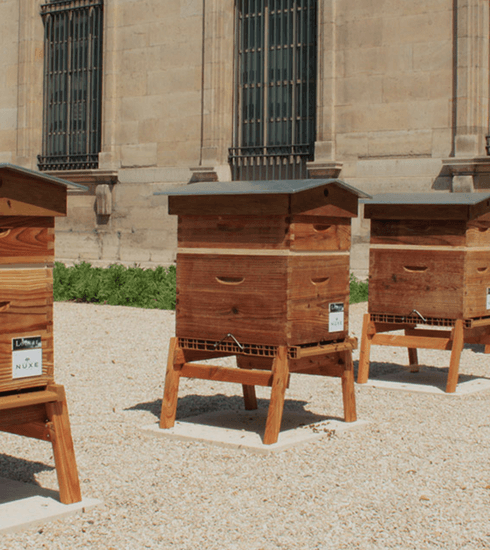 Cosmeticamerk Nuxe en het Louvre zetten zich samen in voor bijen