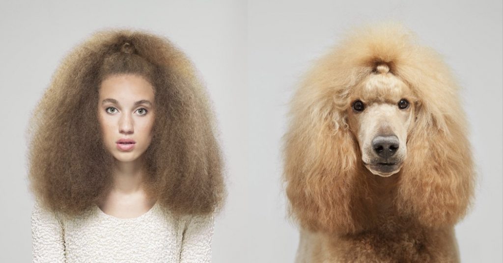 Brits fotograaf verzamelt meest frappante hond-mens lookalikes - 4