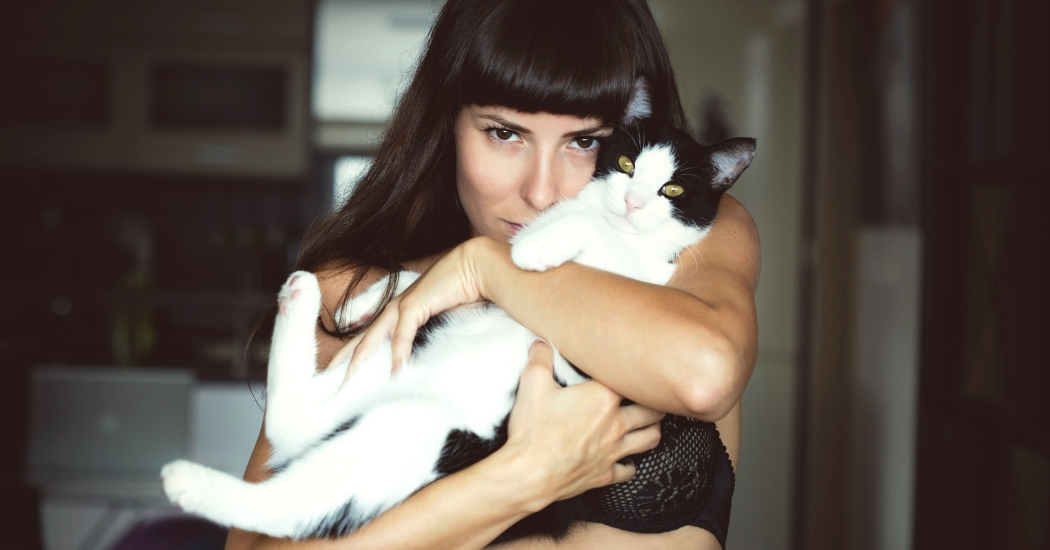 Hebben: het Crazy Cat Lady Boek, een life guide voor kattenliefhebbers