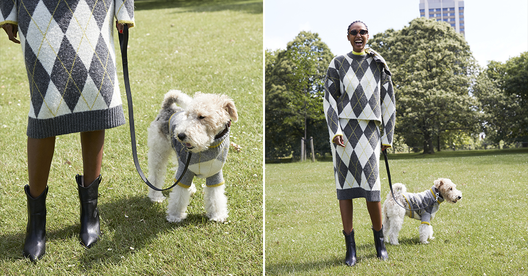 H&M verkoopt matching truien voor honden en hun baasjes