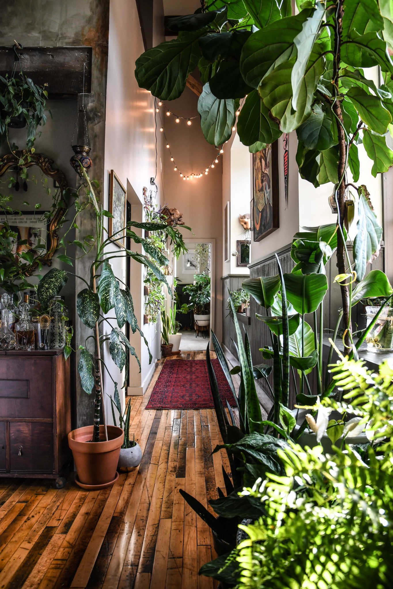 Laat je inspireren door deze mooie interieurs van plantenliefhebbers - 2