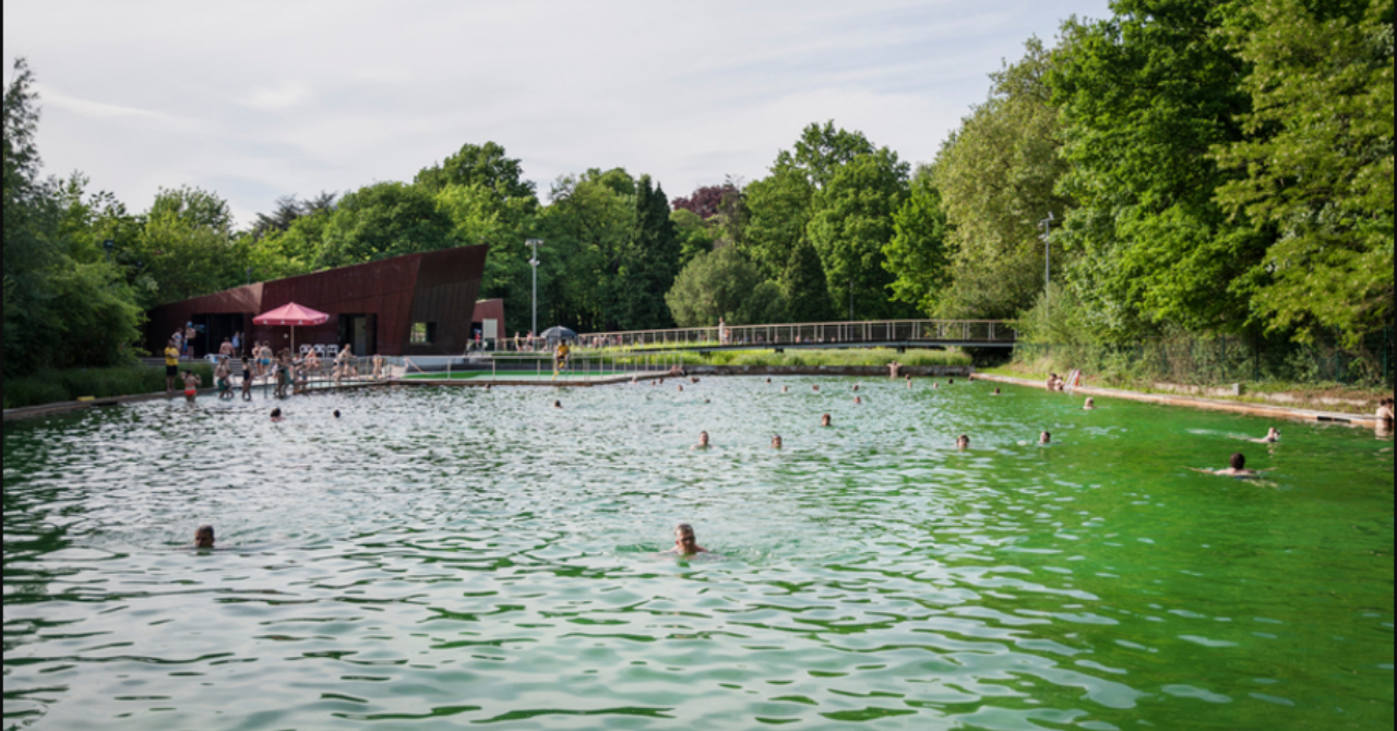 5 x fijne openluchtzwembaden en -vijvers in België - 1