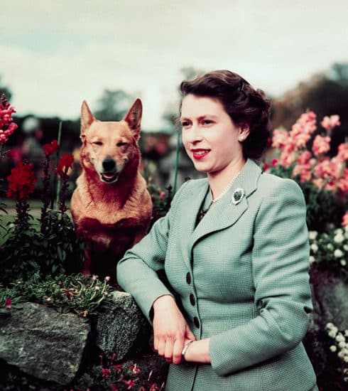 Vaarwel koningin Elizabeth II: een leven van plicht en liefde