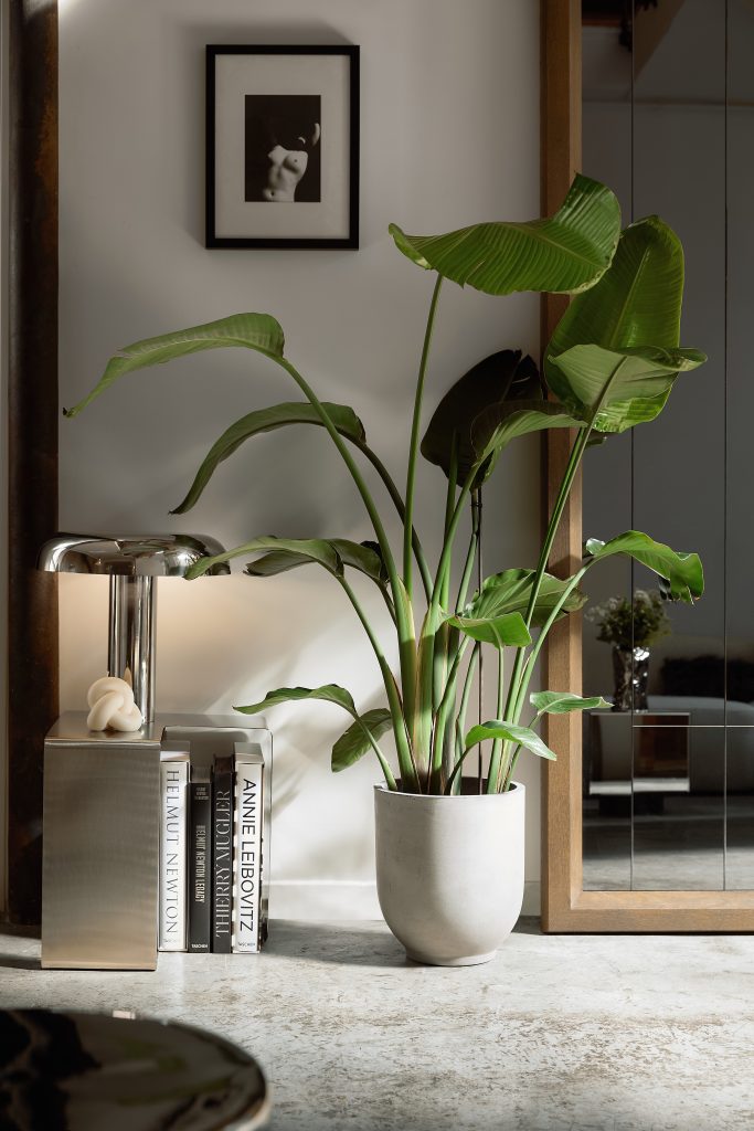 Woonkamer-plant-chrome-lamp