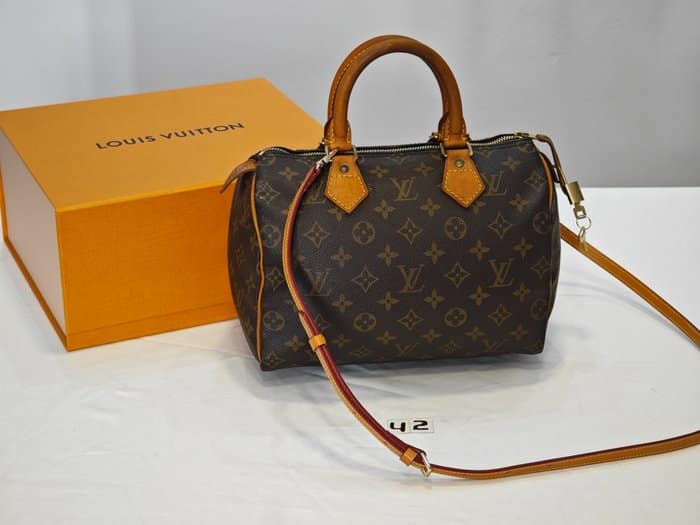 Louis-Vuitton-speedy-25