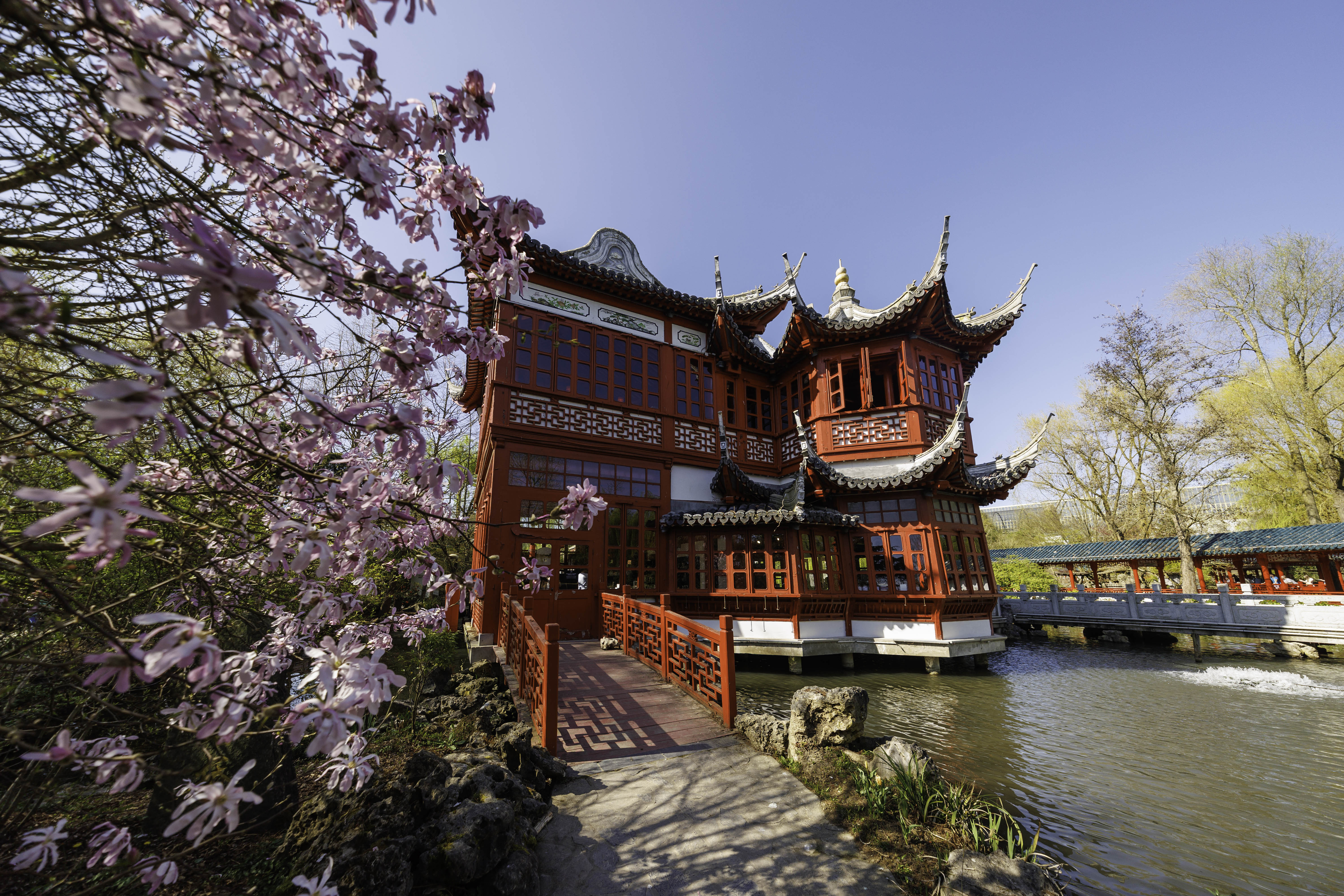 Bloemenfestival 'Floral Dreams: LENTE' bij Pairi Daiza