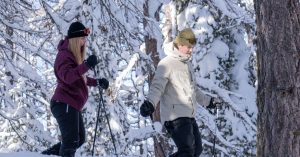 Koppel dat een sneeuwschoenwandeling maakt in en dennenbos