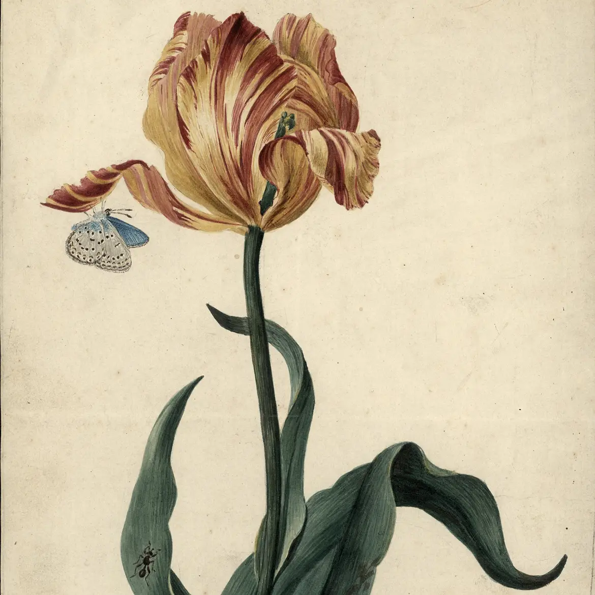 tentoonstellingen in België
