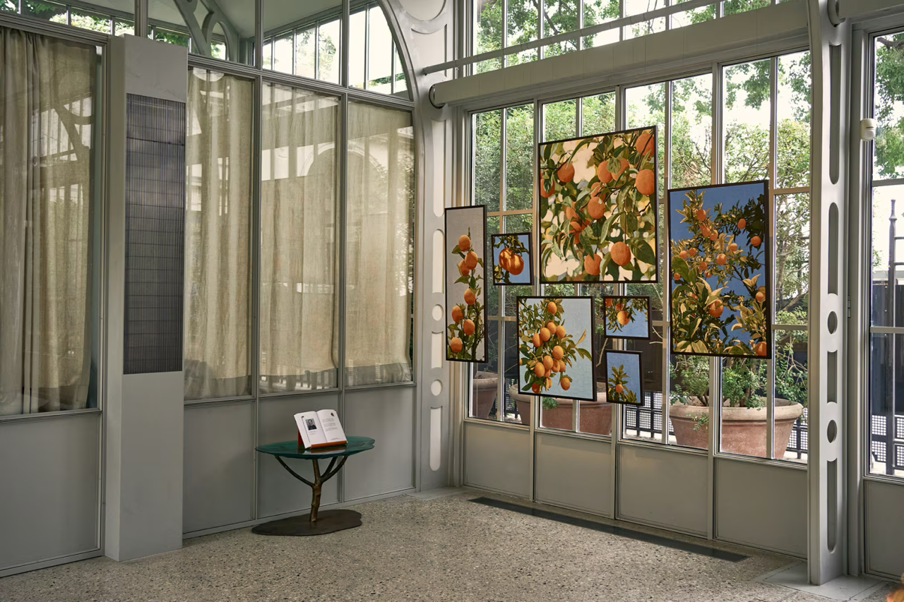 Flora Fantastica_Fuori_Biennale