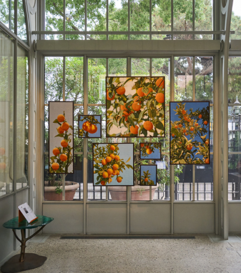 Vier Fuori Biennale-tentoonstellingen in Venetië die je niet mag missen