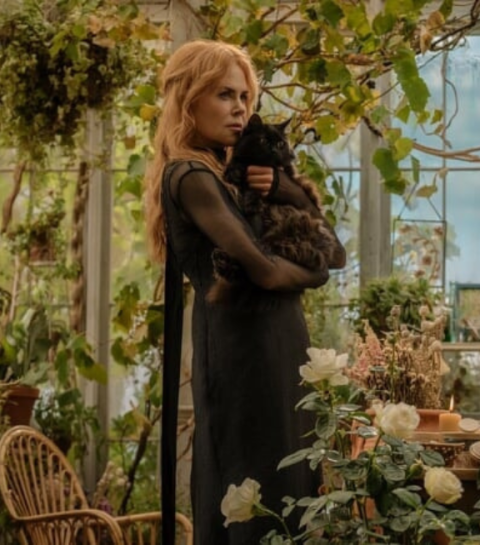 The witches are back: alles wat we tot nu toe weten over ‘Practical Magic 2’